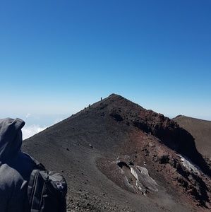 Meet your Posher, Dan